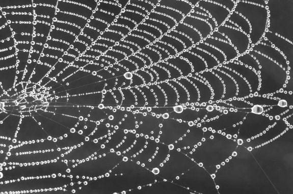 Google Unleashes Gemini AI Agents on the Dark Web — 10M Posts Analyzed Daily