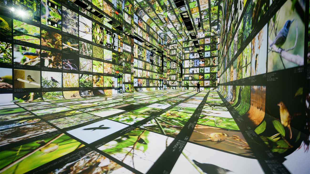 Dataland Shows Creative AI Needs Infrastructure, Not Just Prompts