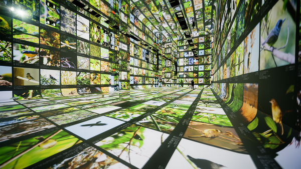 Dataland Shows Creative AI Needs Infrastructure, Not Just Prompts